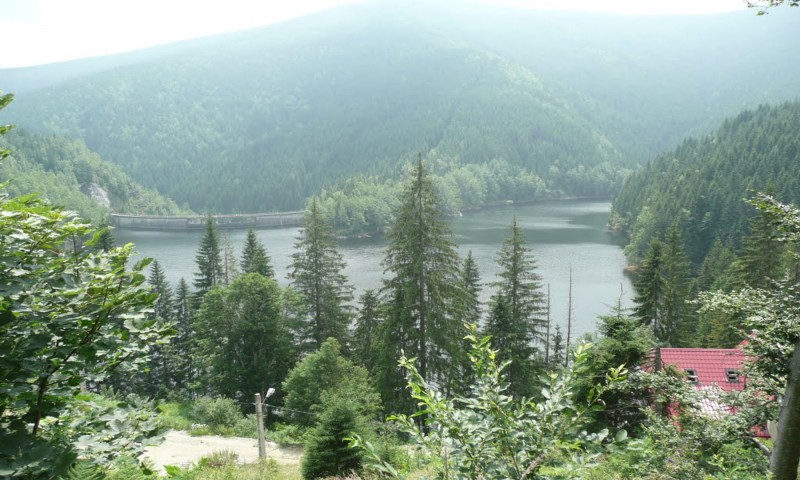 Excursie la Păltiniş Excursie la Păltiniş